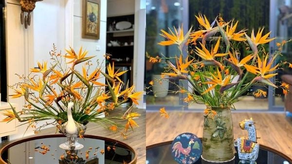 Đừng quên thay nước đều đặn cho bình hoa, ít nhất là 2 lần một ngày.