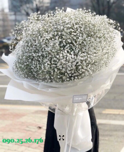 Bó Baby Baby's Breath