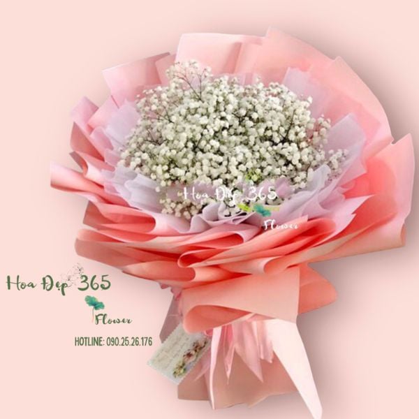 Bó Hoa Baby Trắng