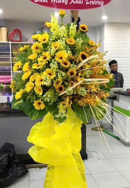 Hoa Đồng Tiền: Kệ Hoa Khúc Ca Mê Ly - HCM24