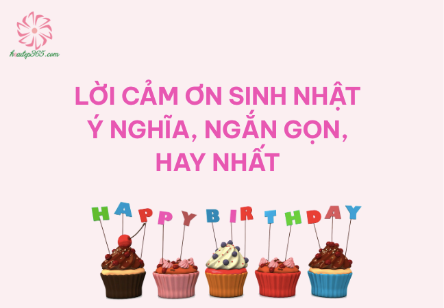 Lời Cảm Ơn Sinh Nhật Ngắn Gọn, Đơn Giản, Hay Và Ý Nghĩa [2026]