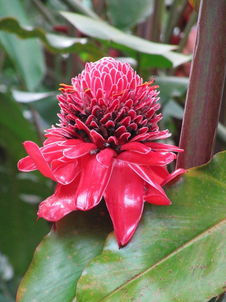 Liên hệ sản phẩm Flosa