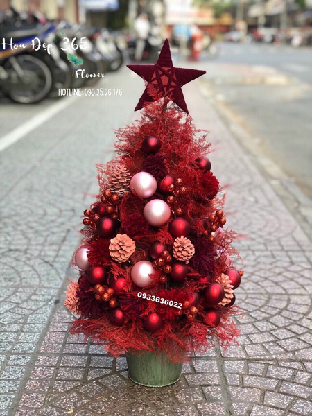 Hoa Giáng Sinh: Cây Thông Noel Jingle - HGS05 - Quà Giáng Sinh