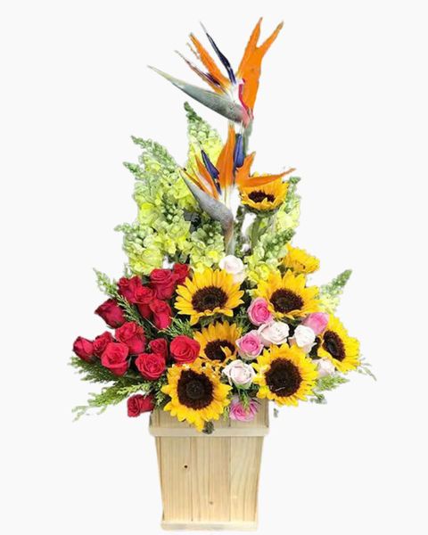 Hoa Hướng Dương: Hộp Hoa Khai Trương Để Bàn Refresh - HCH35