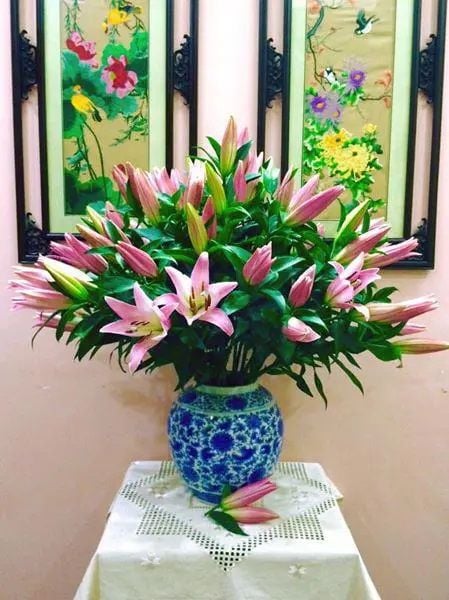 Sắc hồng tươi thắm từ hoa ly