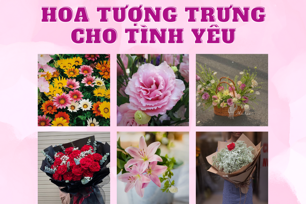 15+ Hoa Tình Yêu Vĩnh Cửu, Chung Thủy, Kiên Định (Cập nhật 2026)