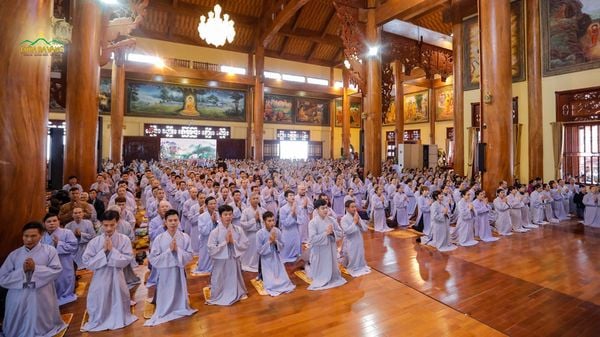 Hình ảnh các Phật tử chuyên tâm tụng kinh niệm Phật trong đại lễ Phật Đản.