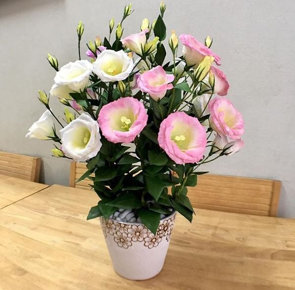 Mẫu cắm hoa bàn thờ đẹp đơn giản với hoa cát tường