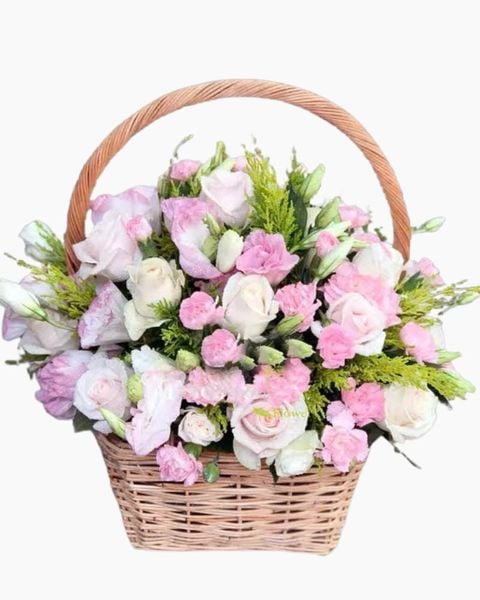 Hoa Cẩm Chướng: Giỏ Hoa Nụ Cười Ngọt Ngào - HG50