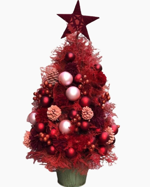 Hoa Giáng Sinh: Cây Thông Noel Jingle - HGS05 - Quà Giáng Sinh