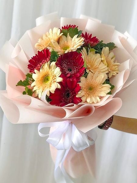 Hoa cúc đồng tiền - đại diện cho lòng biết ơn và sự tĩnh lặng.