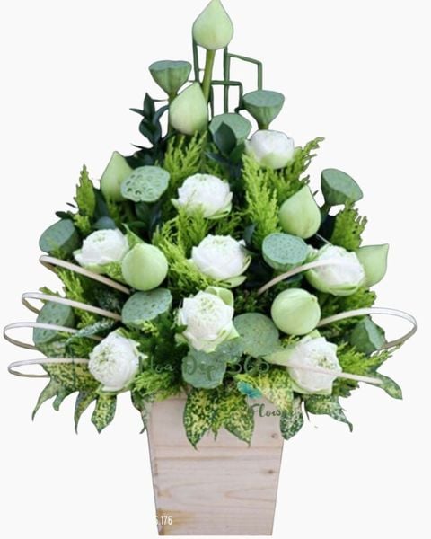 Hoa 20/11: White Lotus - HCH26 - Hoa 20/11 Đẹp Tặng Thầy Cô Giáo