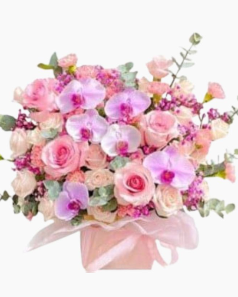  Sắc Hồng Yêu Thương - HCH89 