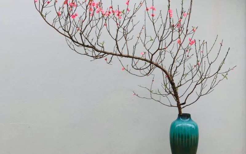 Cành đào nhỏ xinh xắn để bàn