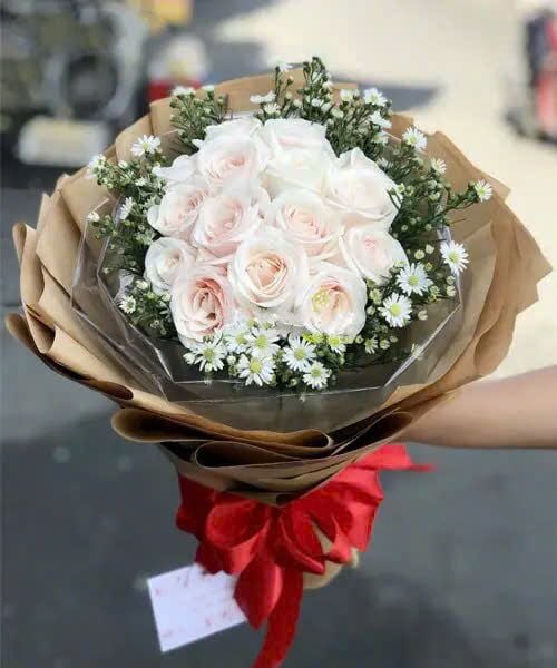Hoa Bó Tròn: Bó Hoa Hồng Pastel Tươi Tắn - HBT01