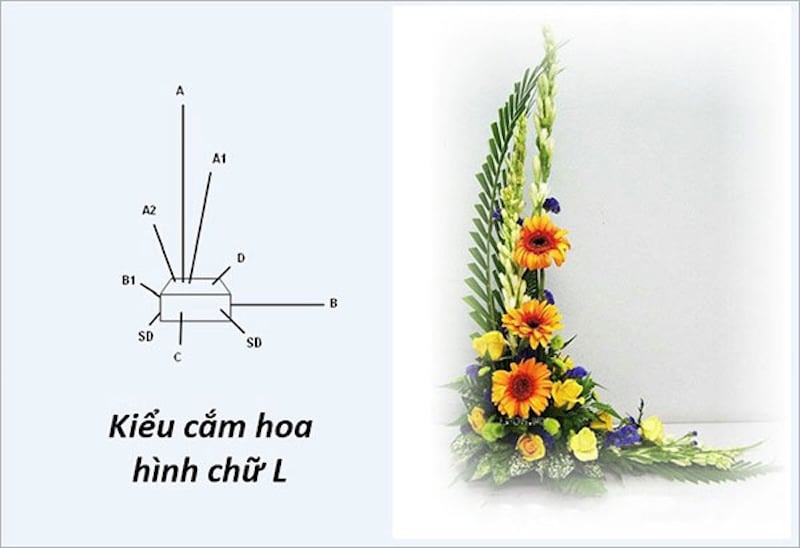 Cách cắm hoa đồng tiền dáng chữ L
