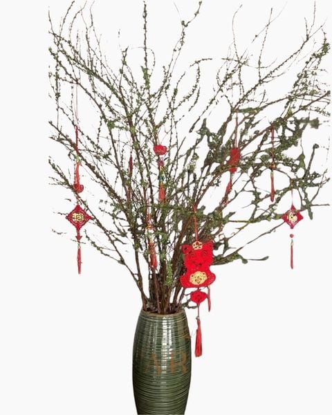 Hoa Cắm Bình: Bình Hoa Tuyết Mai - HCB67 - Hoa Chưng Tết Nguyên Đán