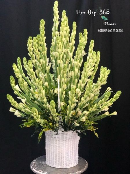 Giỏ hoa huệ trắng thờ cúng ông bà ngày tết