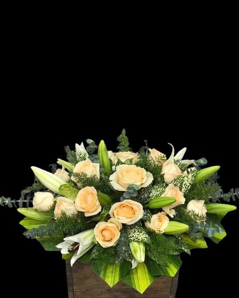 Hoa Để Bàn: Hoa Để Bàn Hừng Sáng - Ovan 23