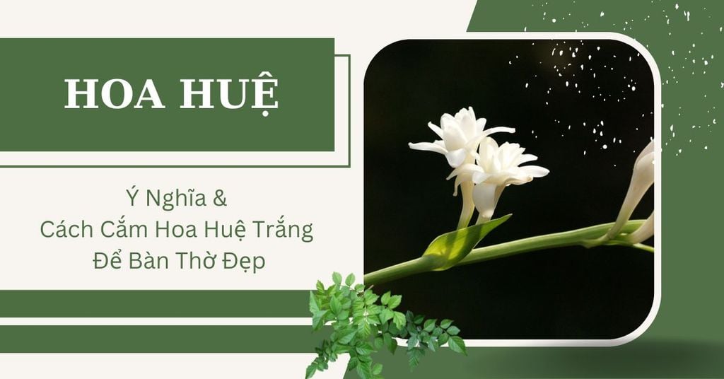 Ý Nghĩa Hoa Huệ & Cách Cắm Hoa Huệ Trắng Để Bàn Thờ Đẹp 2026