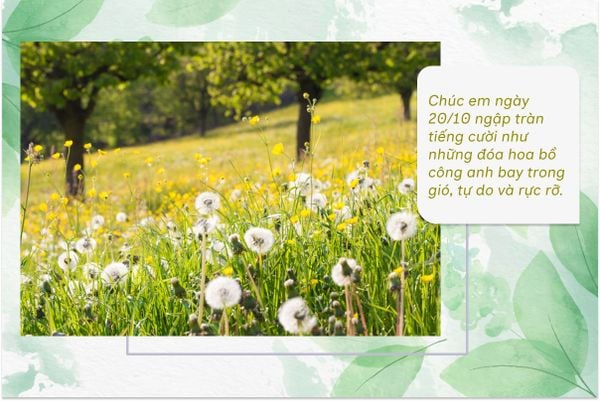 Chúc em ngày 20/10 ngập tràn tiếng cười như những đóa hoa bồ công anh bay trong gió, tự do và rực rỡ.
