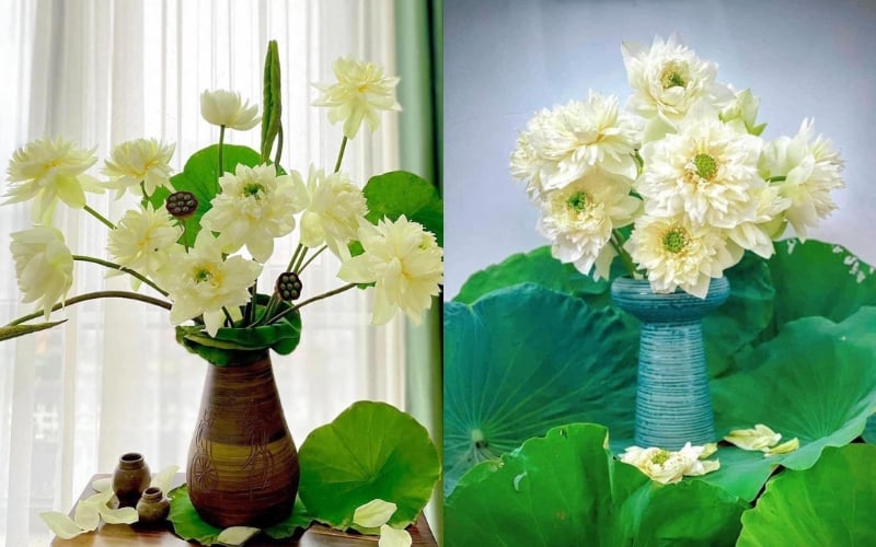 Hình ảnh sen mây xanh