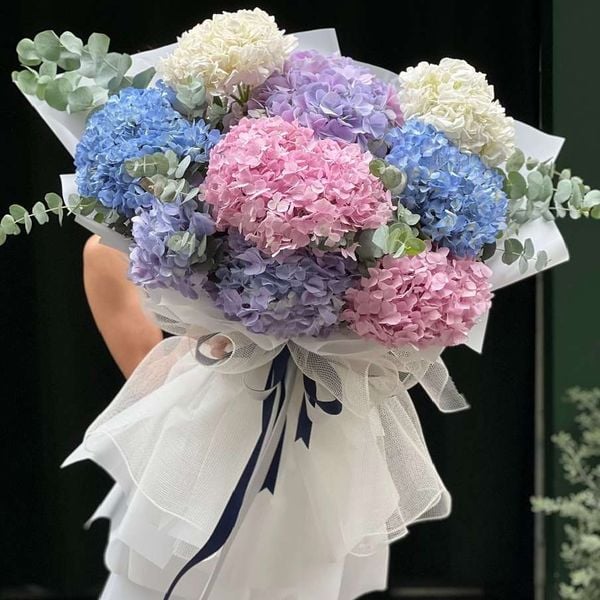 Bó hoa cẩm tú cầu