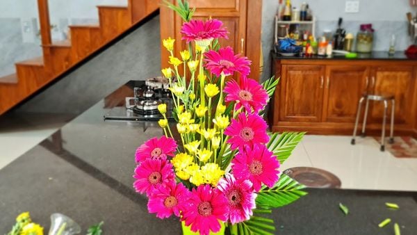 Hoa cúng ông Địa, Thần Tài - Hoa đồng tiền