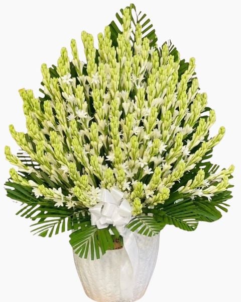 Hoa Cắm Bình: Bình Hoa Huệ Trắng - HCB70