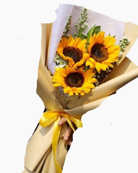 Hoa Bó Dài: Tỏa Sáng - HBD37