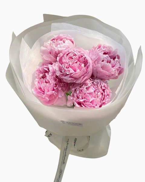  Bó Hoa Mẫu Đơn Hồng - HBT60 