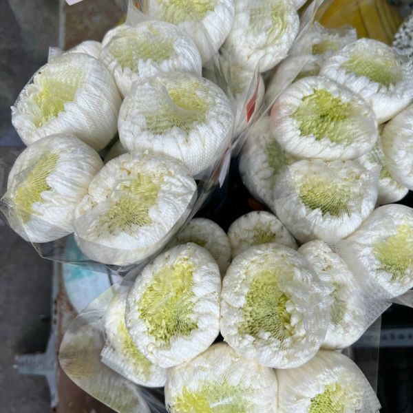  Hoa Cúc Đại Đóa - Hoa Cắt Cành 