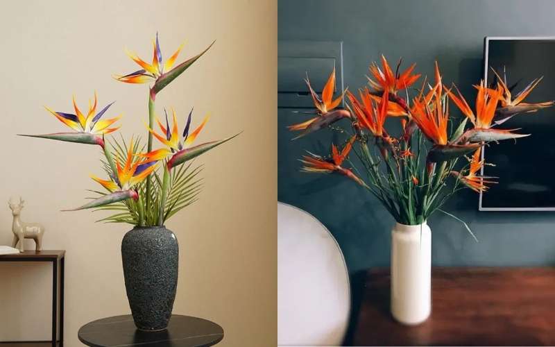 Chọn một bình cao, cổ hẹp sẽ làm tôn lên vẻ đẹp của hoa Thiên Điểu