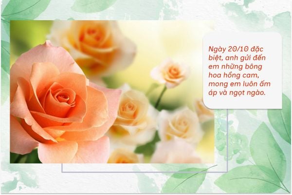 Ngày 20/10 đặc biệt, anh gửi đến em những bông hoa hồng cam, mong em luôn ấm áp và ngọt ngào.