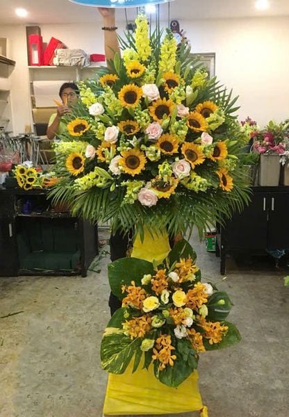 Hoa Khai Giảng: Kệ Hoa Toả Sáng - HCM13
