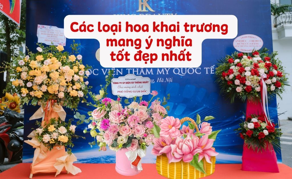 Khai trương nên tặng hoa gì, chọn màu nào mang ý nghĩa tốt đẹp nhất?