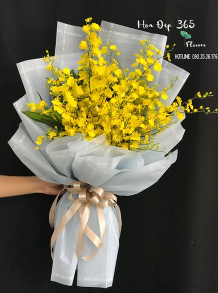 Bó hoa Lan vũ nữ xinh đẹp đại diện cho tình yêu