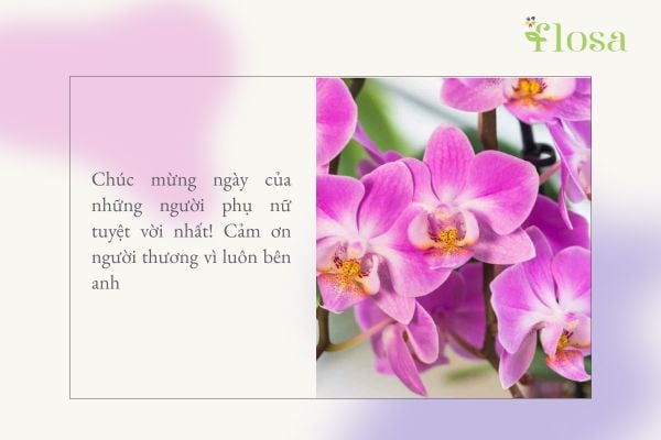 lời chúc 8/3 cho người yêu 3