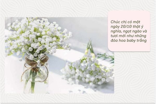Chúc chị có một ngày 20/10 thật ý nghĩa, ngọt ngào và tươi mới như những đóa hoa baby trắng