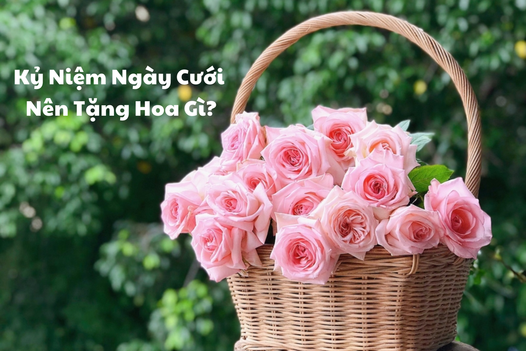 100+ Hoa Kỷ Niệm Ngày Cưới Đẹp, Ý Nghĩa Nhất 2026