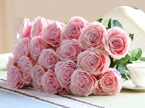 Vẻ đẹp khó cưỡng của những đóa hồng nhung ngọt ngào