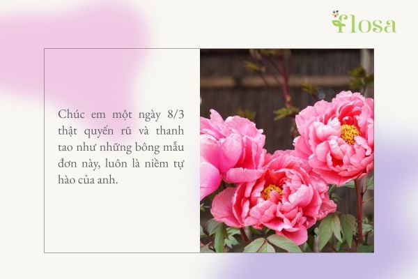 lời chúc 8/3 cho người yêu 7