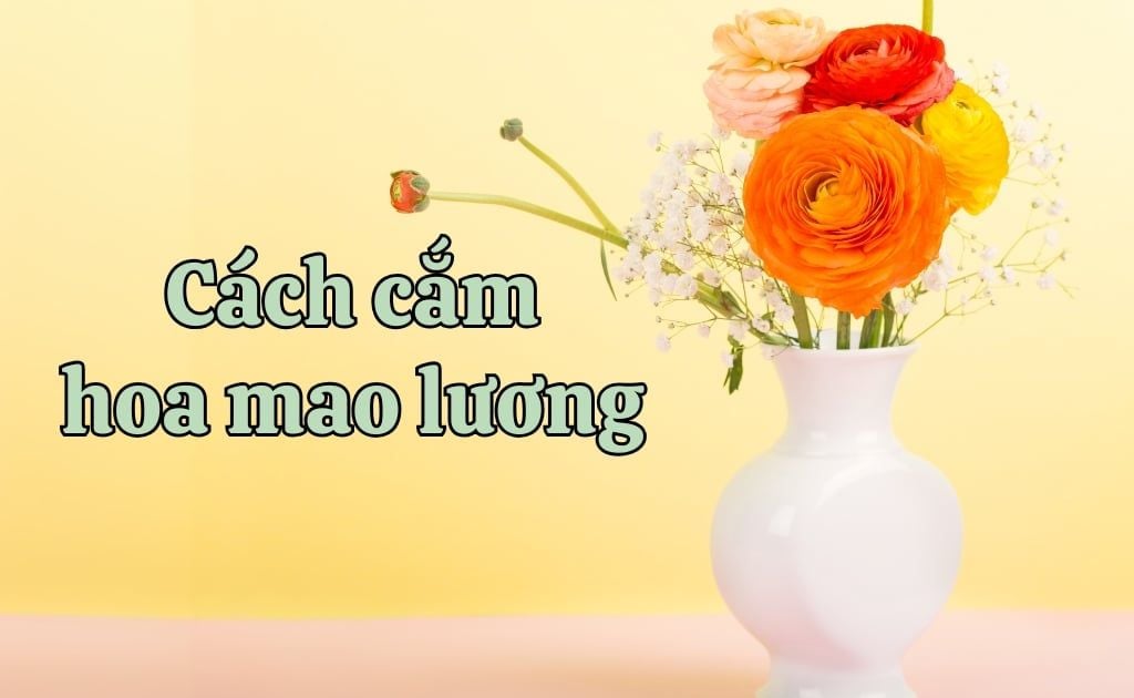 Cách cắm hoa mao lương đẹp tươi lâu, chơi bền cả tuần đơn giản nhất