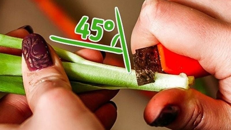 Kỹ thuật xử lý gốc hoa giúp hoa tươi lâu trong những ngày tết