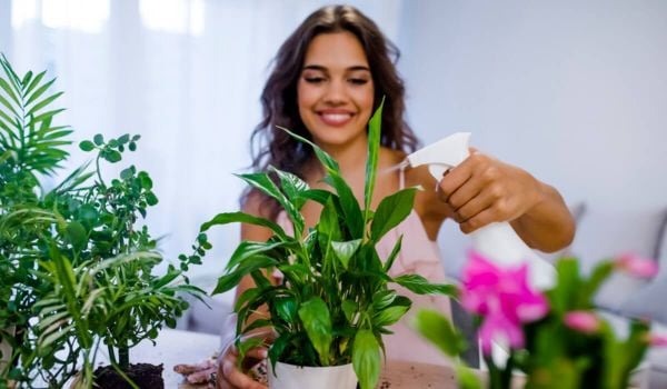 Trồng cây, ngắm hoa tóc là cách xả stress tốt nhất