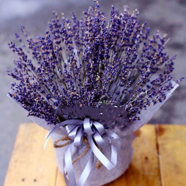 Hoa Lavender: Hộp Hoa Lavender Thuỷ Chung - LVD01 - Điện Hoa