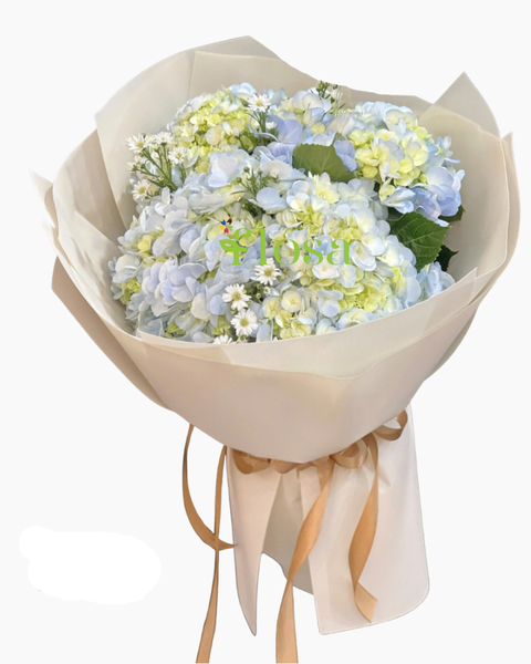  Bó Hoa Cẩm Tú Cầu- HBT101 