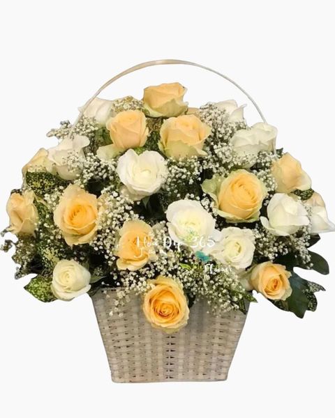 Giỏ Hoa Khai Trương: Vào Đời - HG48 - Hoa 20/11 Hành Trình Tri Ân