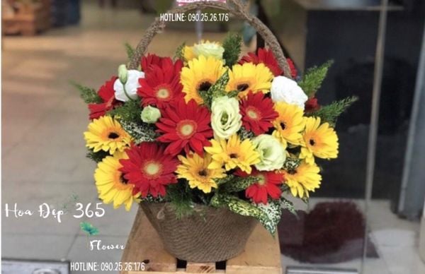 giỏ hoa đồng tiền tặng 20/10