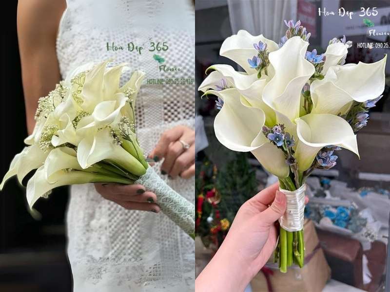 Mẫu hoa cưới cầm tay Rum Trắng - HC21 và Mẫu hoa cưới cầm tay Whispers Of The Heart - HC50 tại Flosa